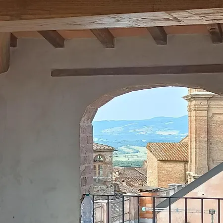 Zafferano