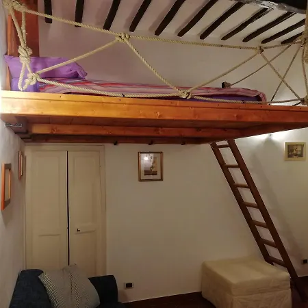 Zafferano Città della Pieve