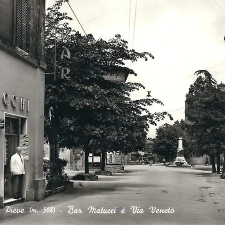 Zafferano Città della Pieve