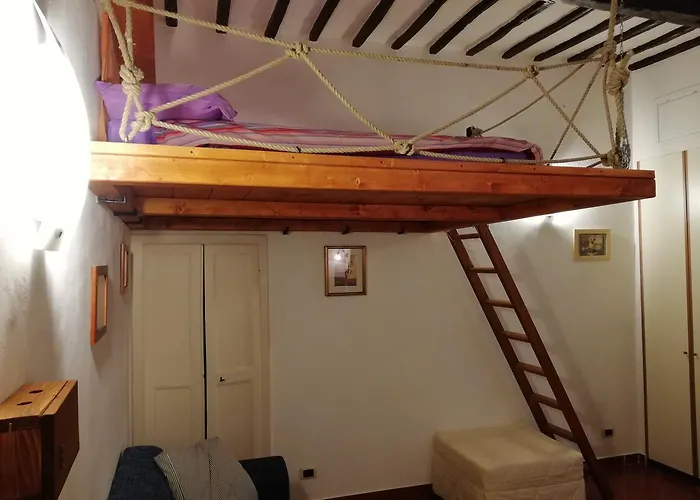 Zafferano Città della Pieve