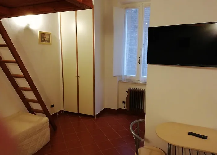 Zafferano Città della Pieve