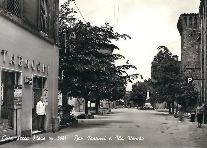 Zafferano Città della Pieve